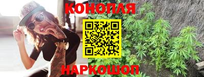 не бодяженный Кингисепп